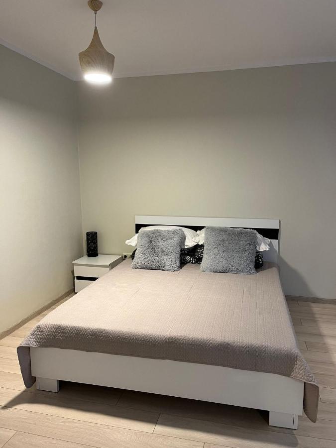 Beautiful Apartment Great Location Free Parking 里加 外观 照片